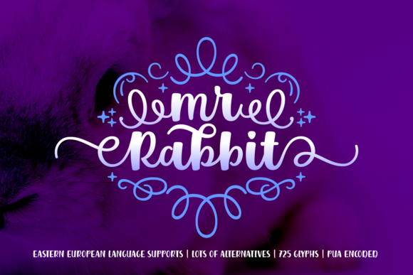 Mr. Rabbit Font: A Bold Serif for Scroll-Stopping Marketing Content