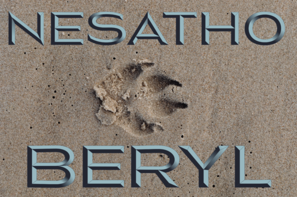 Nesatho-Beryl: A Web Designer’s Take on This Color Font